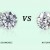 Lab-Grown Diamonds vs Natural Diamonds: What Buyers Need to Know